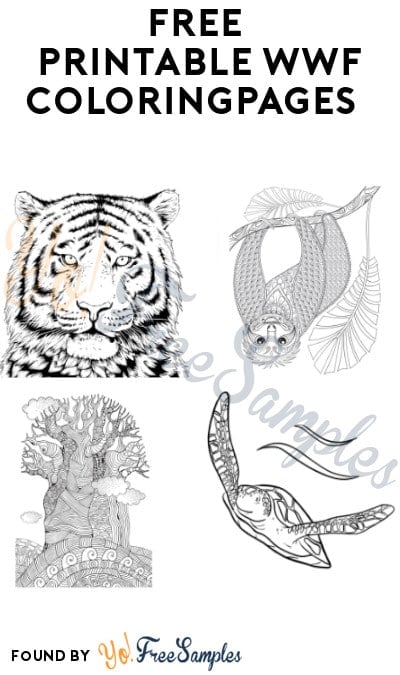 Free printable wwf coloring pages