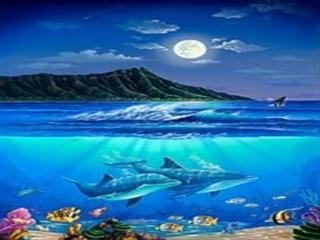 Wyland hawaii graphic wall art wyland gallery dolphin art