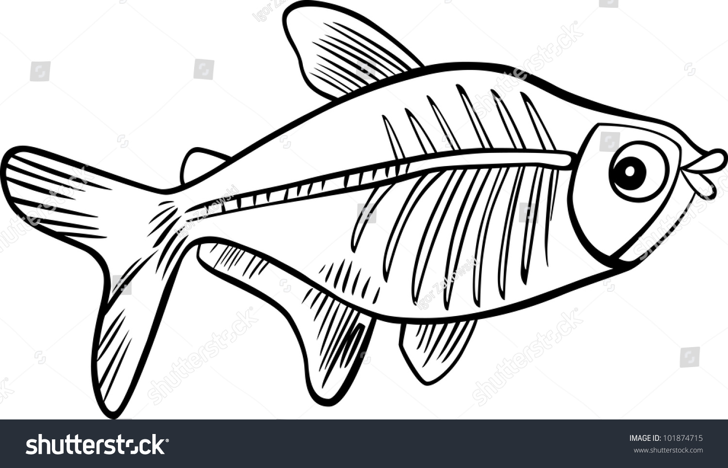 Cartoon illustration xray fish coloring book stock vector royalty free