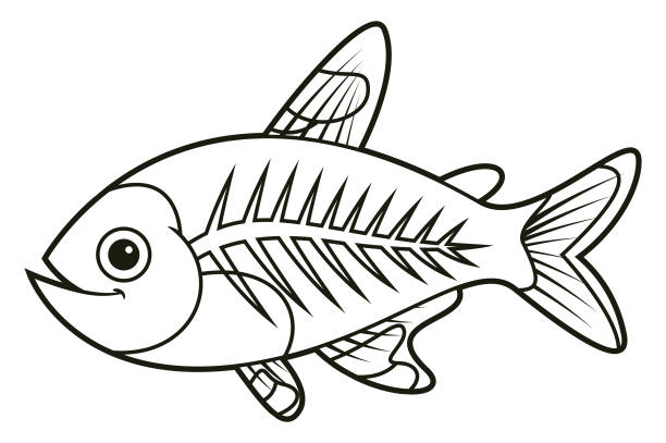 Black and white cute xray fish stock illustration