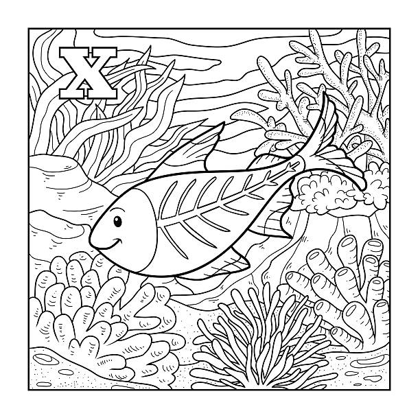 Coloring book stock illustration