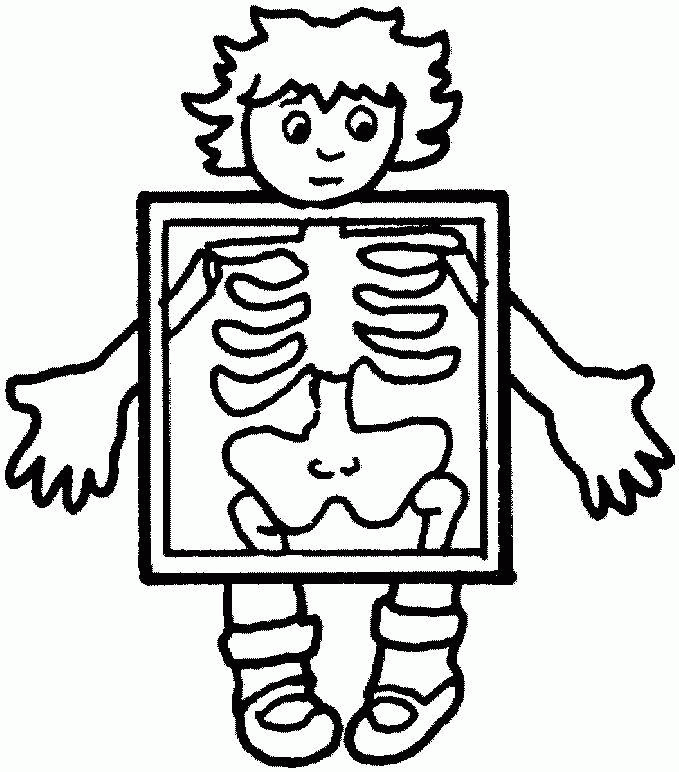 Free preschoolers coloring pages of the human body download free preschoolers coloring pages of the human body png images free cliparts on clipart library