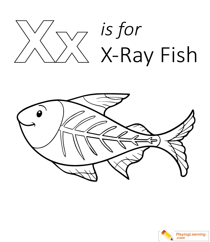 X is for xray fish coloring page free x is for xray fish coloring page