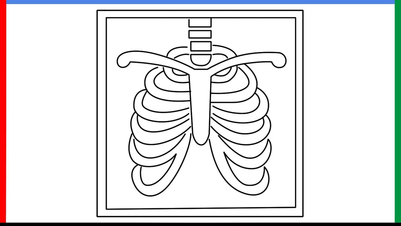 How to draw x ray eoji step by step for beginners