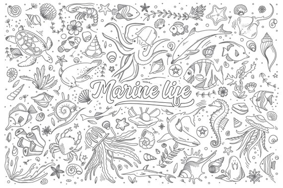 Big coloring sheet for kids huge coloring sheets x coloring sheet sea life coloring homeschool drawing