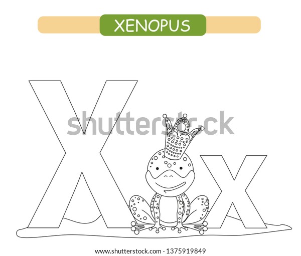 Letter x funny cartoon xenopus coloring åºåçéåïå ççï