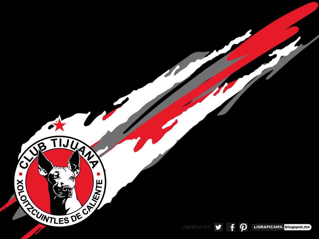 Xolos, club tijuana HD wallpaper | Pxfuel