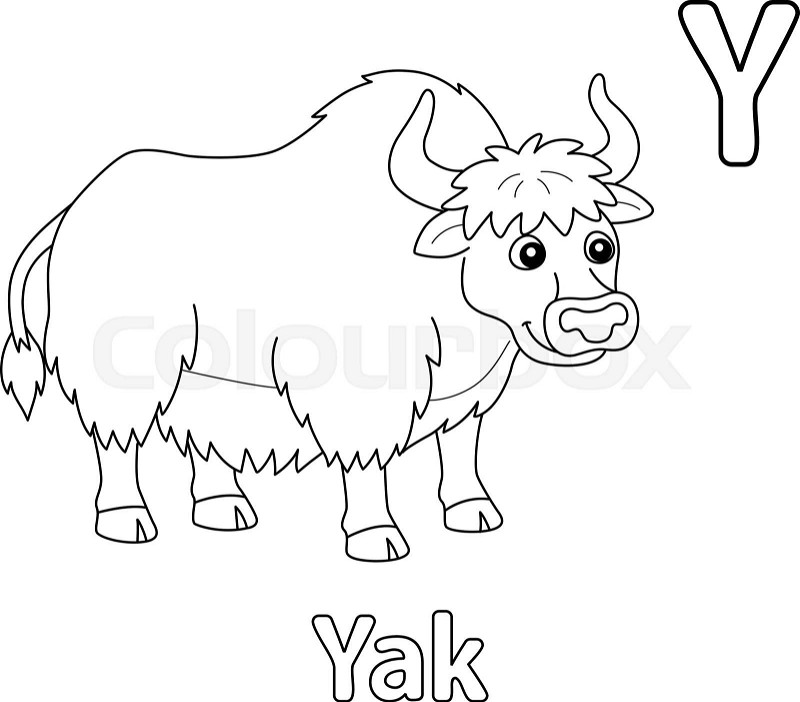 Yak alphabet abc coloring page y stock vector