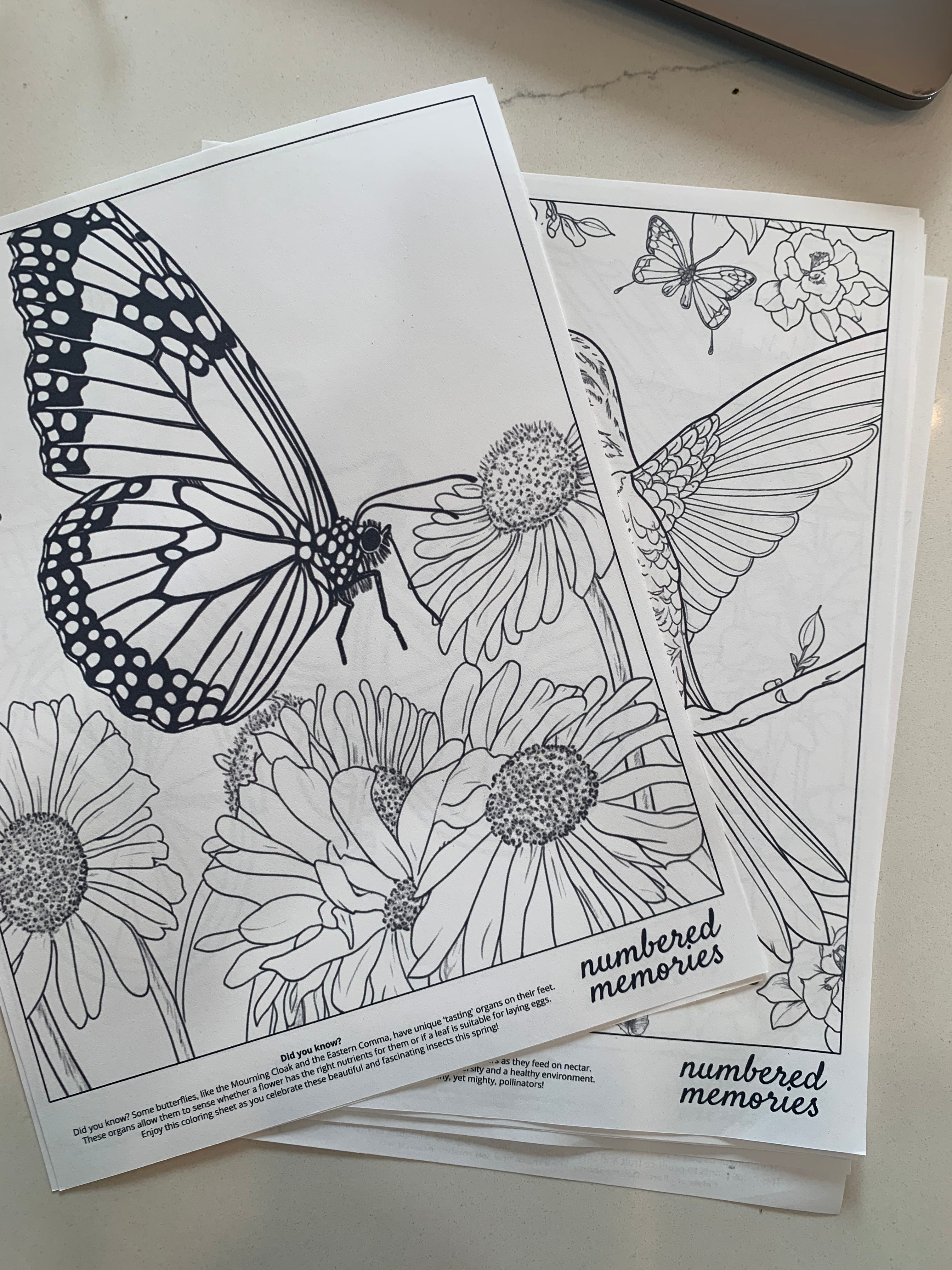 Free monthly coloring sheets exclusive printable designs numbered memories