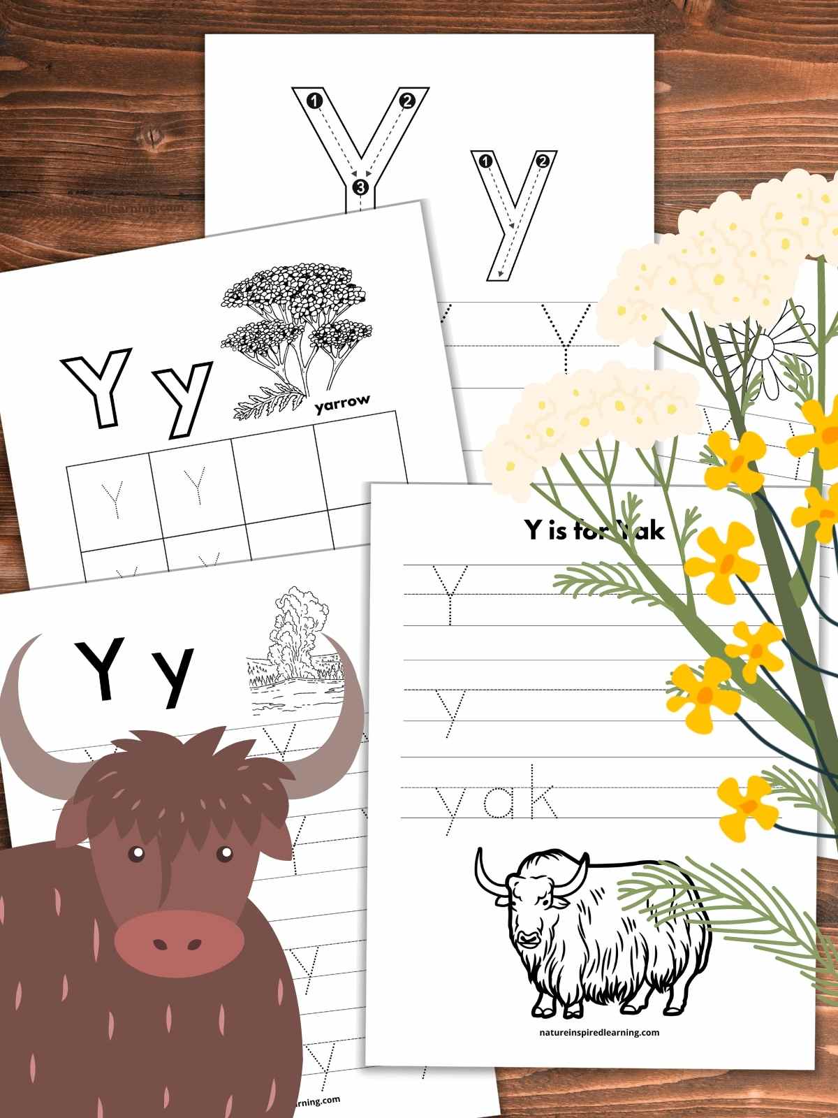 Letter y tracing worksheets