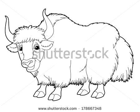 Himalayan yak color sheets cartoon animal