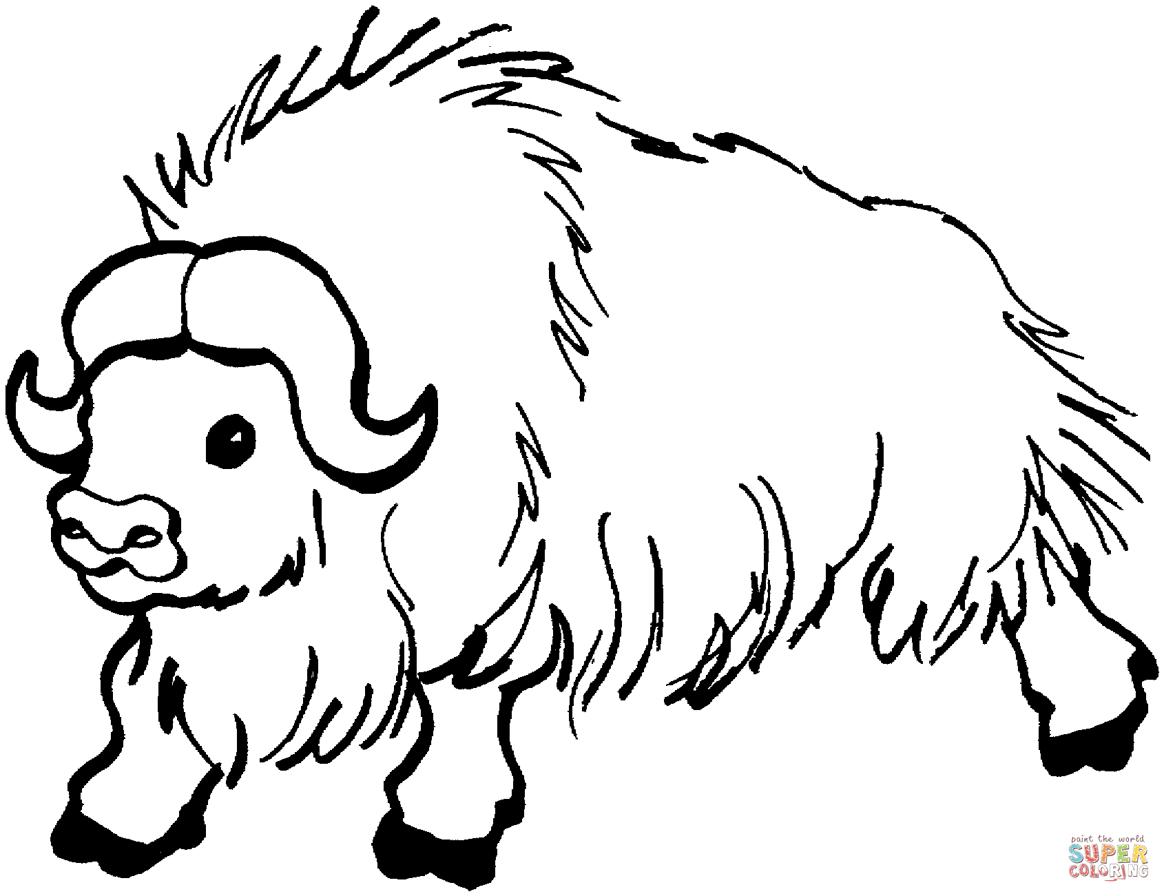 Wild yak coloring page free printable coloring pages