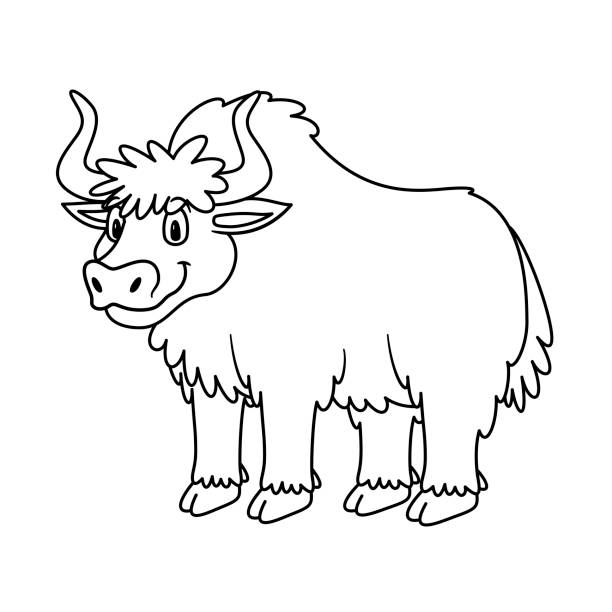 Coloring book yak stock photos pictures royalty