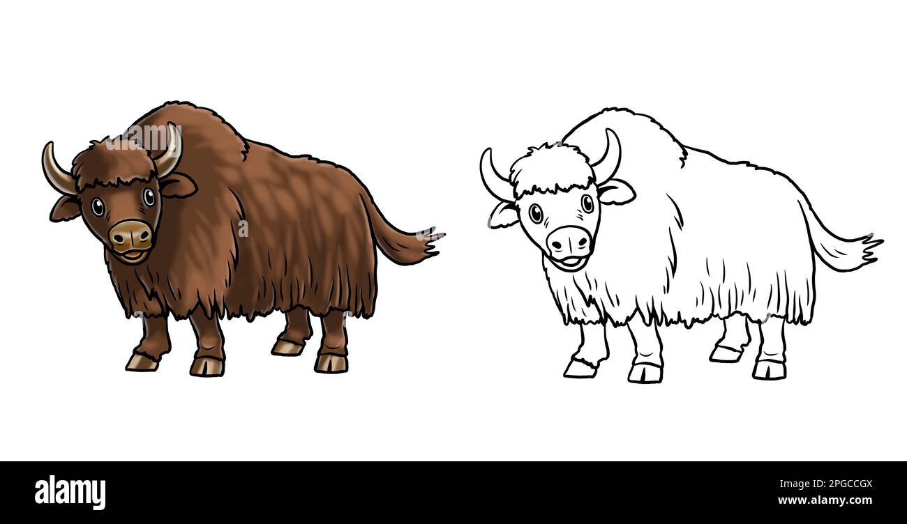 Yak illustration graphic hi