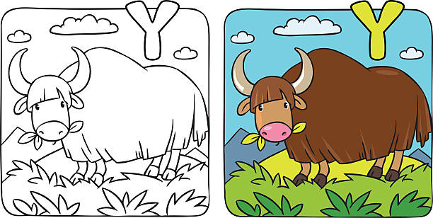 Coloring book yak stock photos pictures royalty