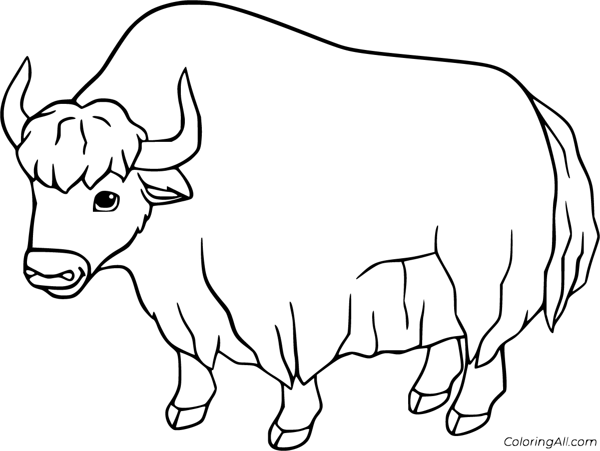 Yak coloring pages