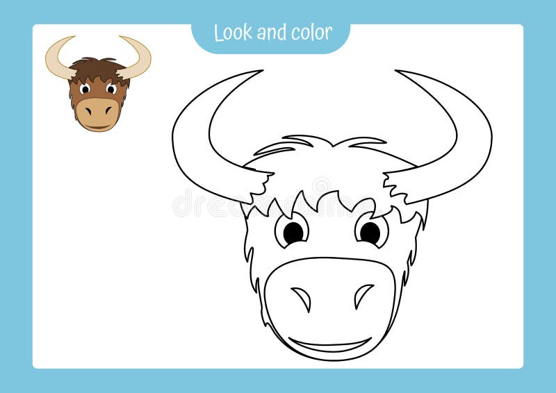 Yak coloring stock illustrations â yak coloring stock illustrations vectors clipart