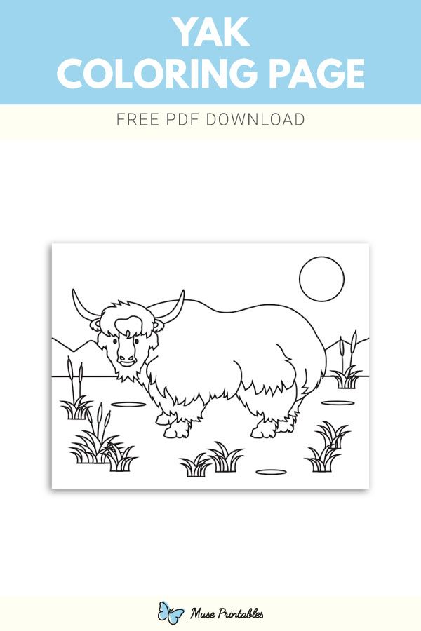 Free yak coloring page coloring pages free printable coloring pages color