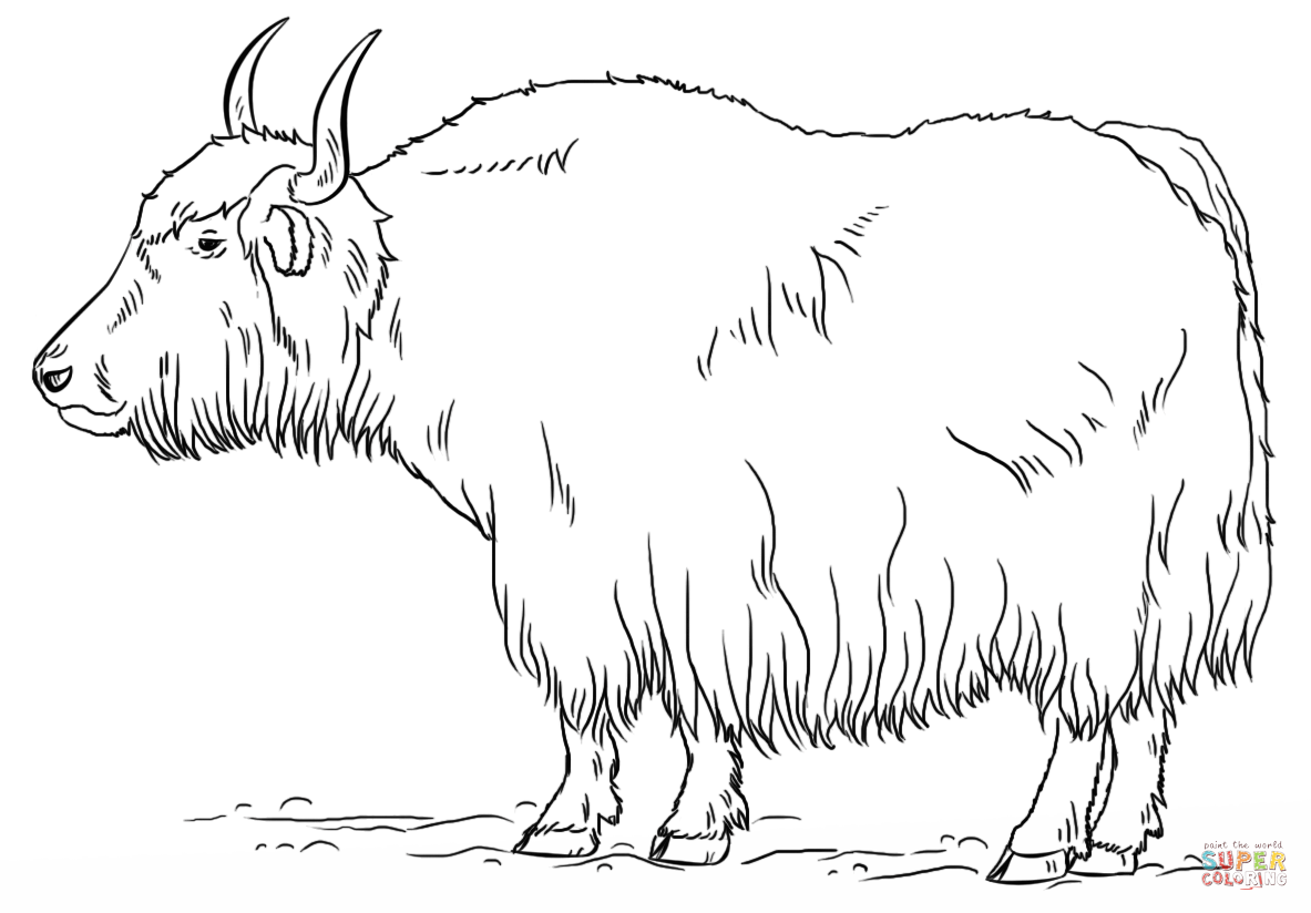 Yak coloring page free printable coloring pages