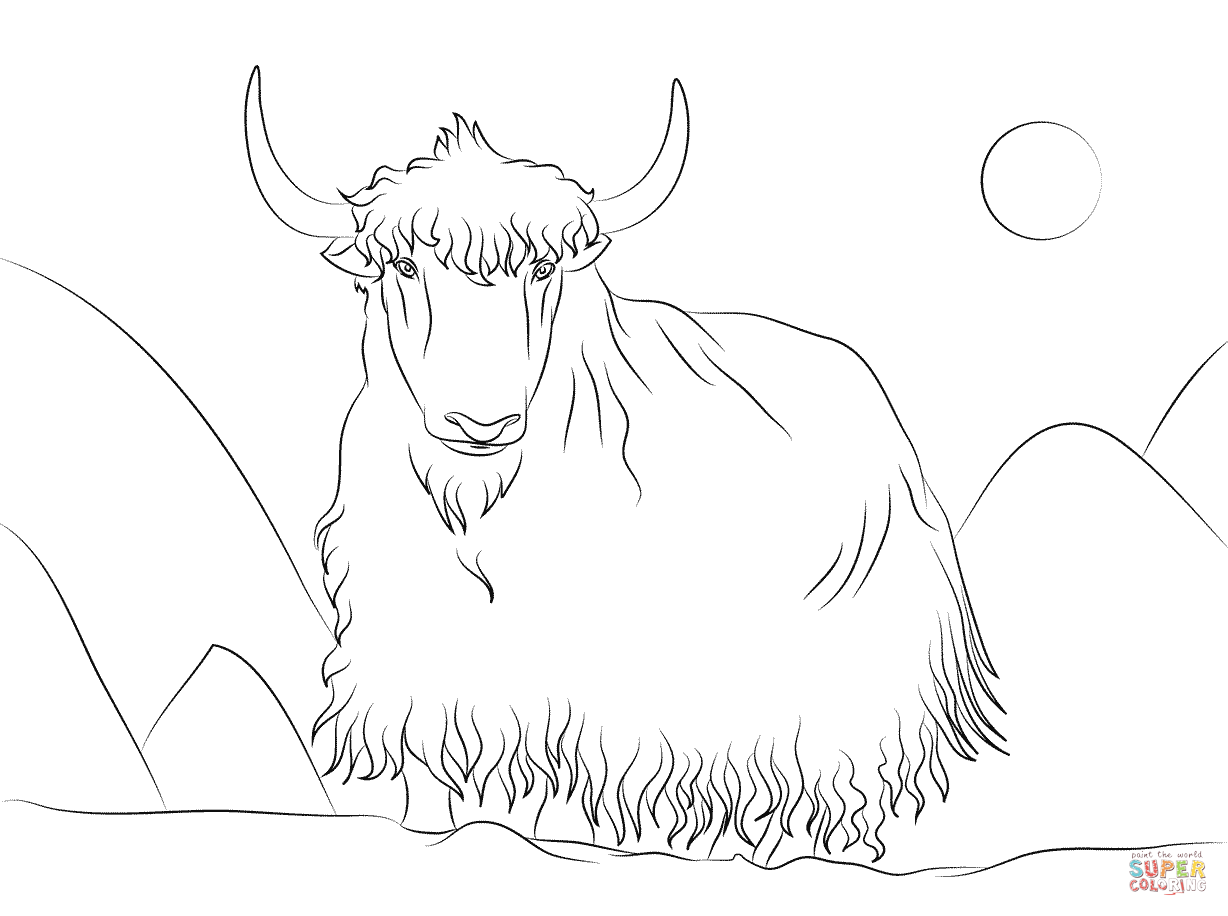 Yak coloring page free printable coloring pages