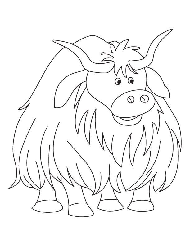 Free yak coloring pages download free yak coloring pages png images free cliparts on clipart library