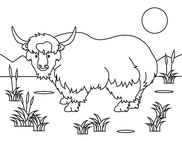 Printable yak coloring page