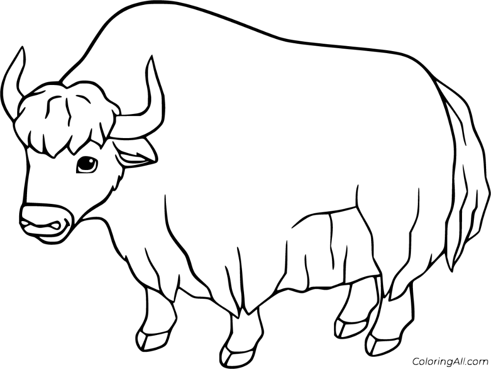 Free printable yak coloring pages in vector format easy to print from any device and automatically fit any paper size coloring pages mammals yak