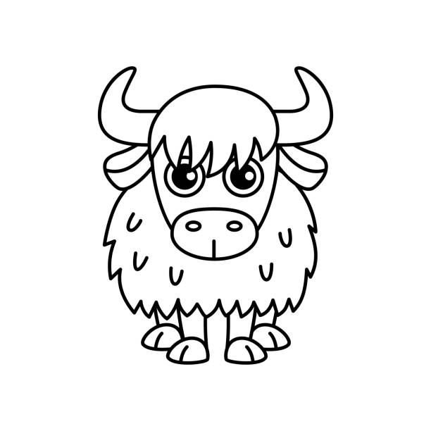 Coloring book yak stock photos pictures royalty