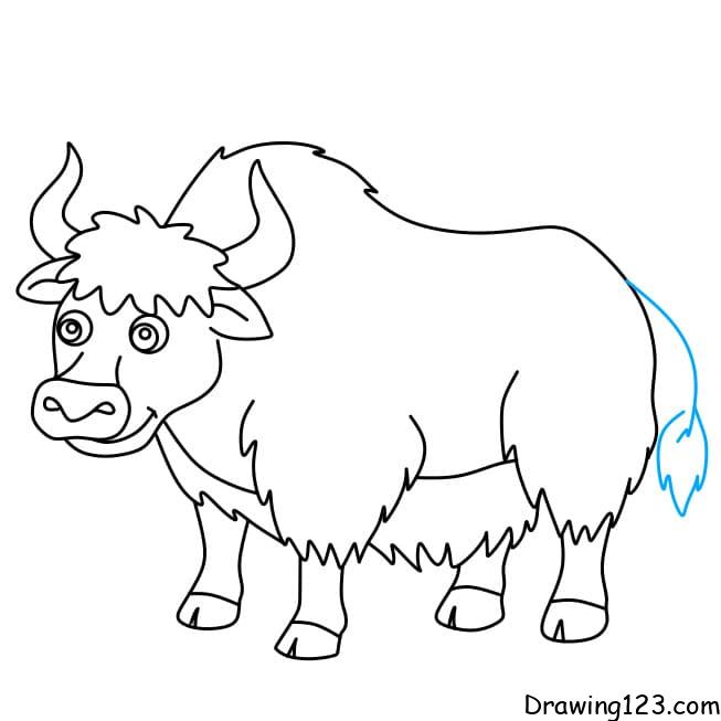 Yak drawing tutorial