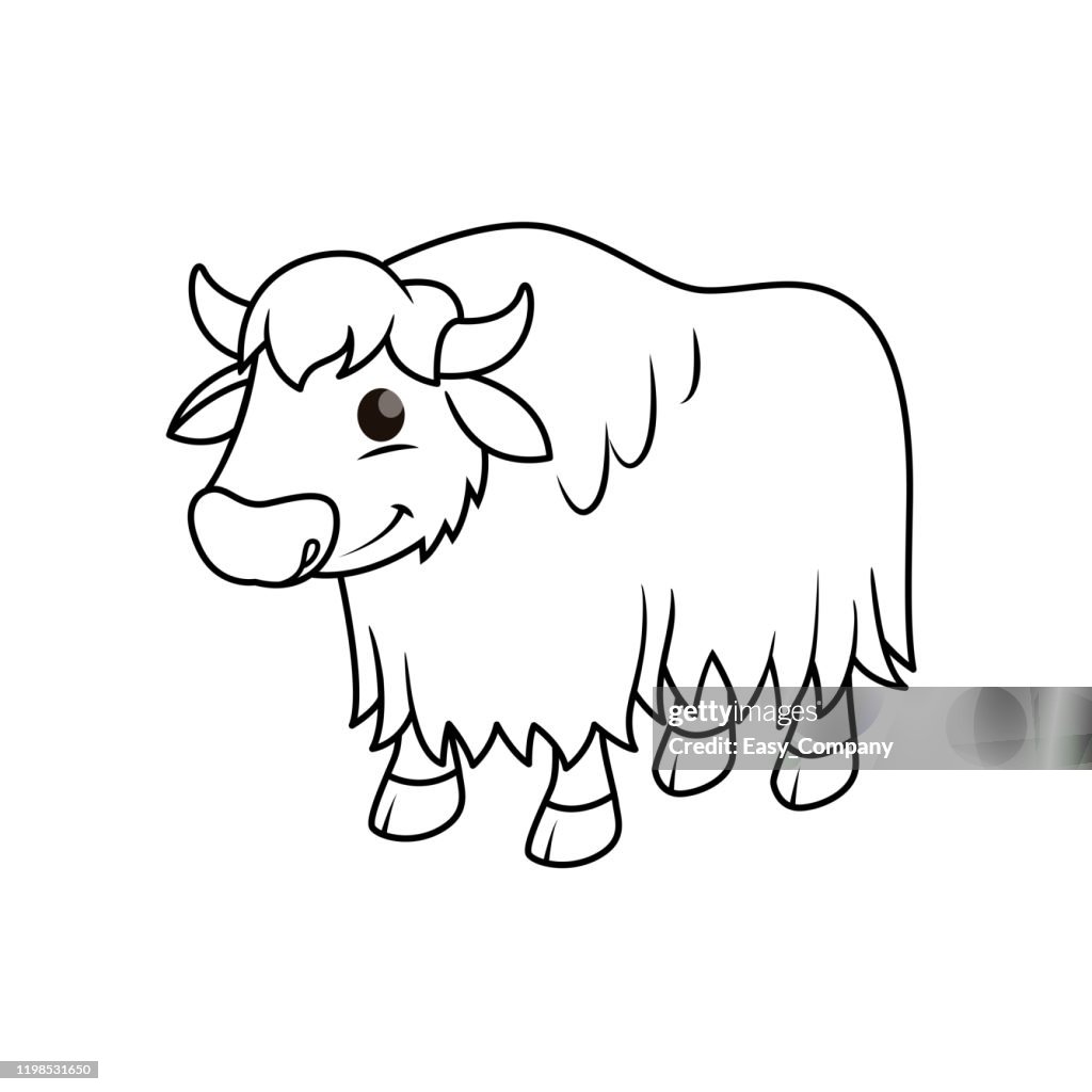 Vector illustration of yak isolated on white background for kids coloring book high