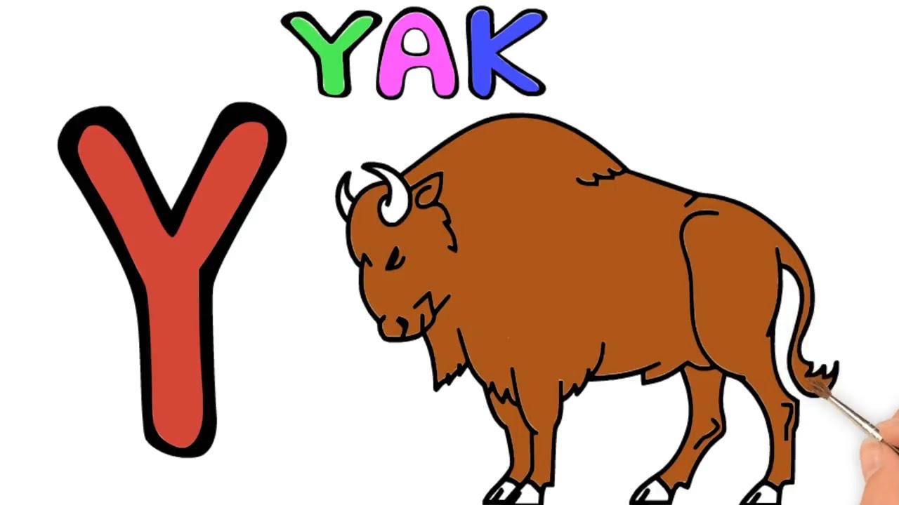 How to draw a yak for kids