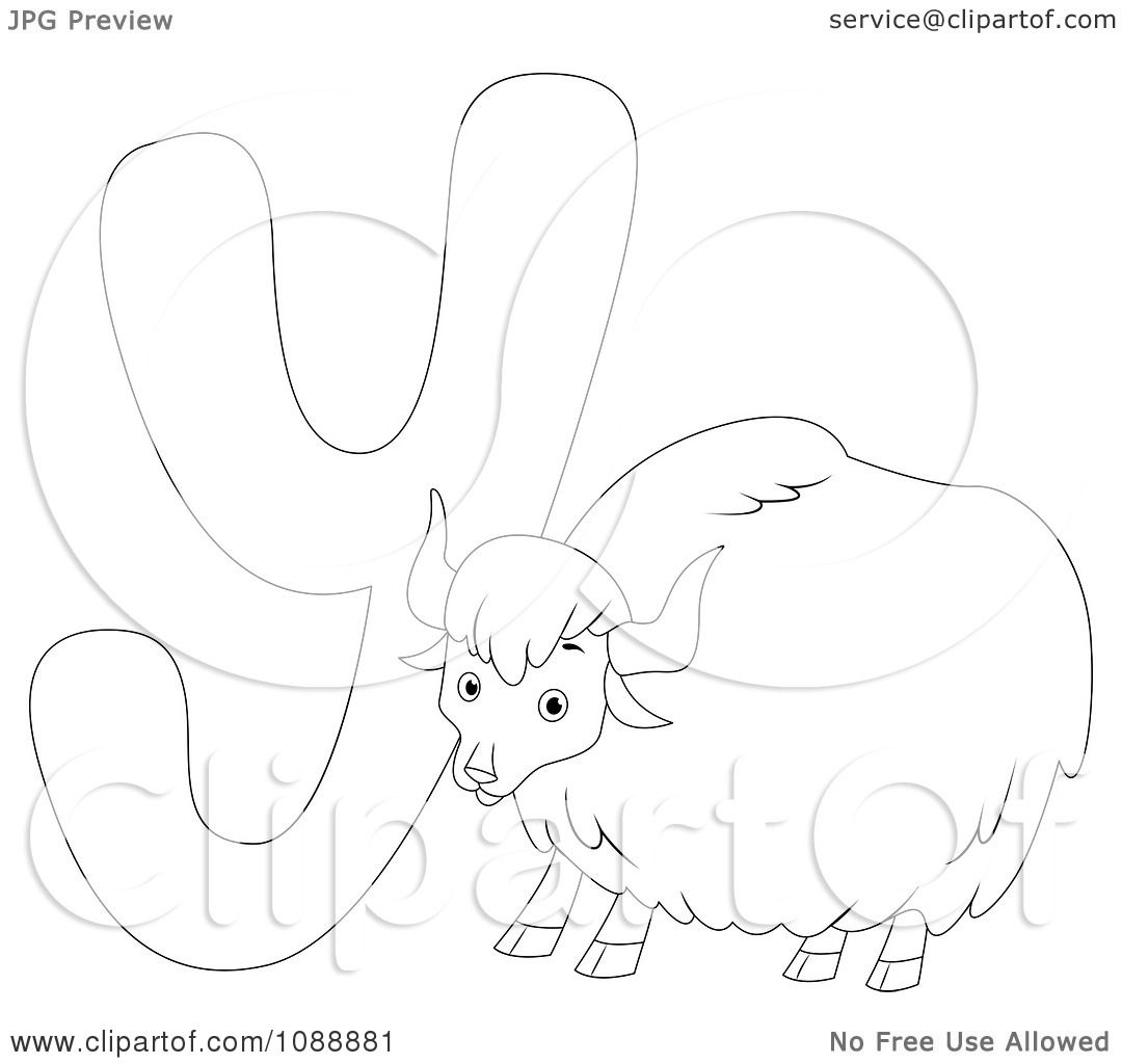 Clipart outlined y is for yak coloring page