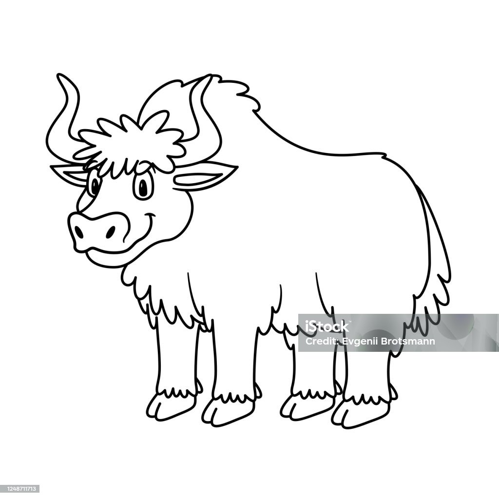 Cartoon animal yak illustration for pre school education kindergarten and kids and children coloring page and books zoo topic with smiling happy face friendly furry cow bull stock illustration