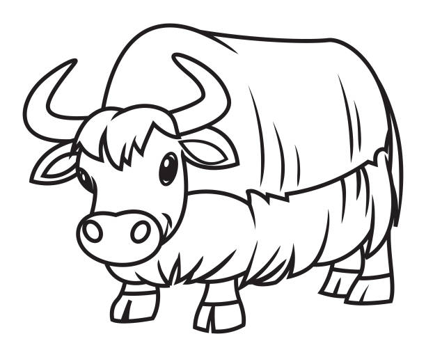 Coloring book yak stock photos pictures royalty