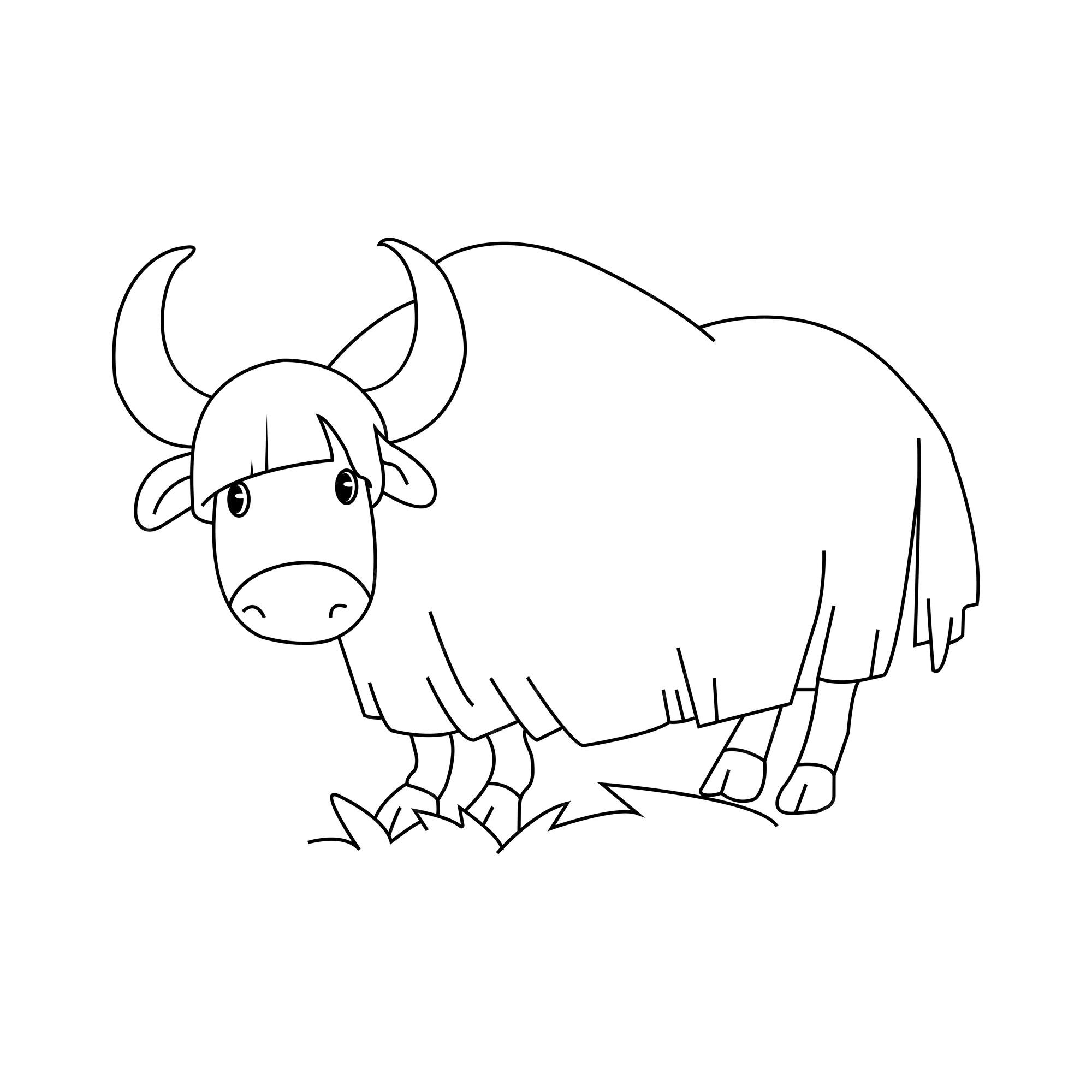 Premium vector yak coloring page