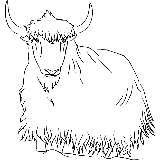 Yak coloring pages printable for free download