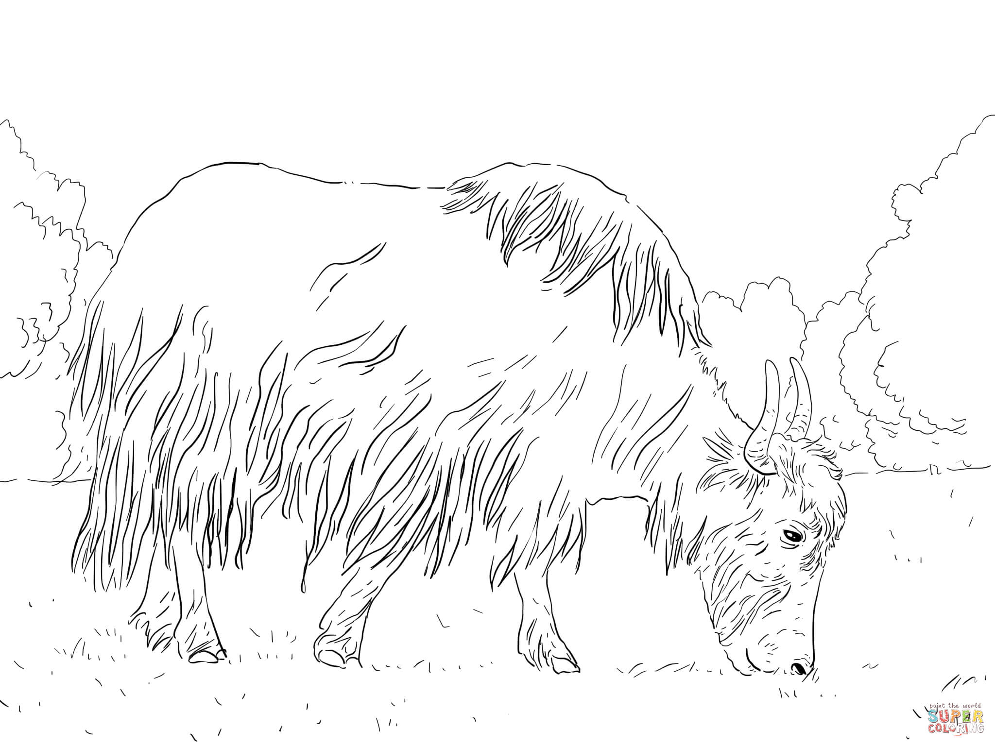 Grazing yak coloring page free printable coloring pages