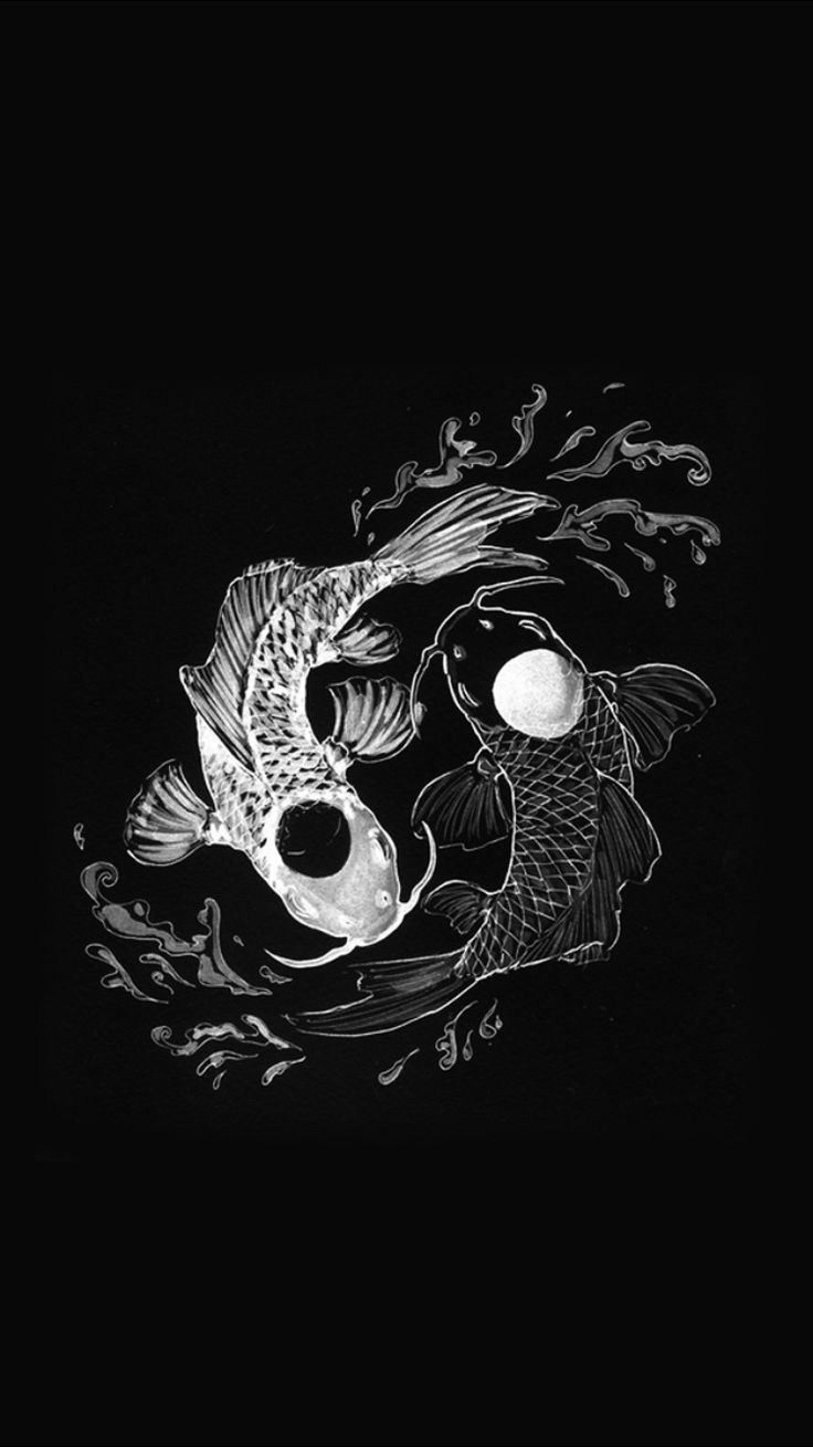 Koi fish