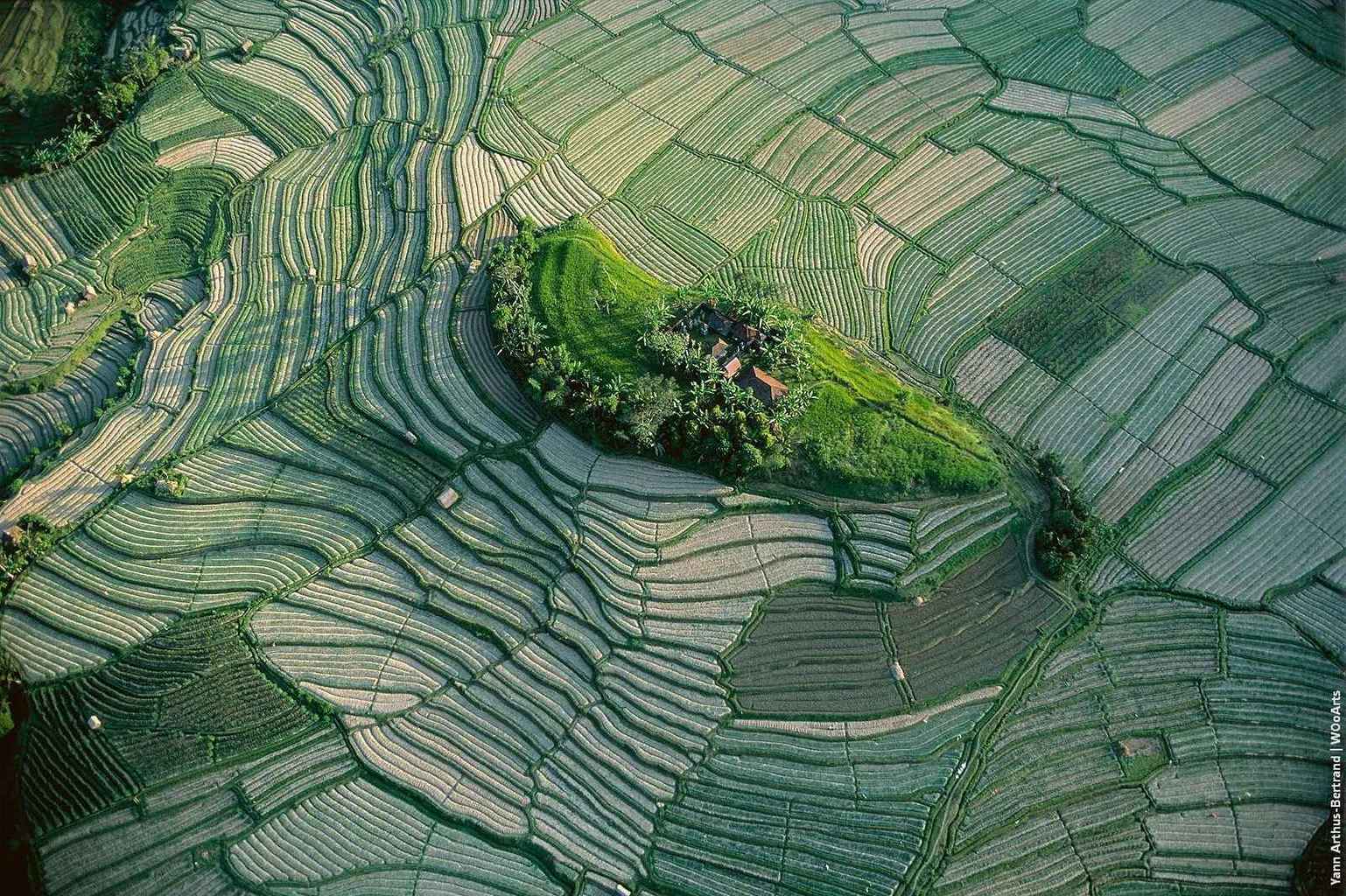 Aerial photographs by french artist yann arthus