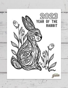 Year of the rabbit â colouring pages