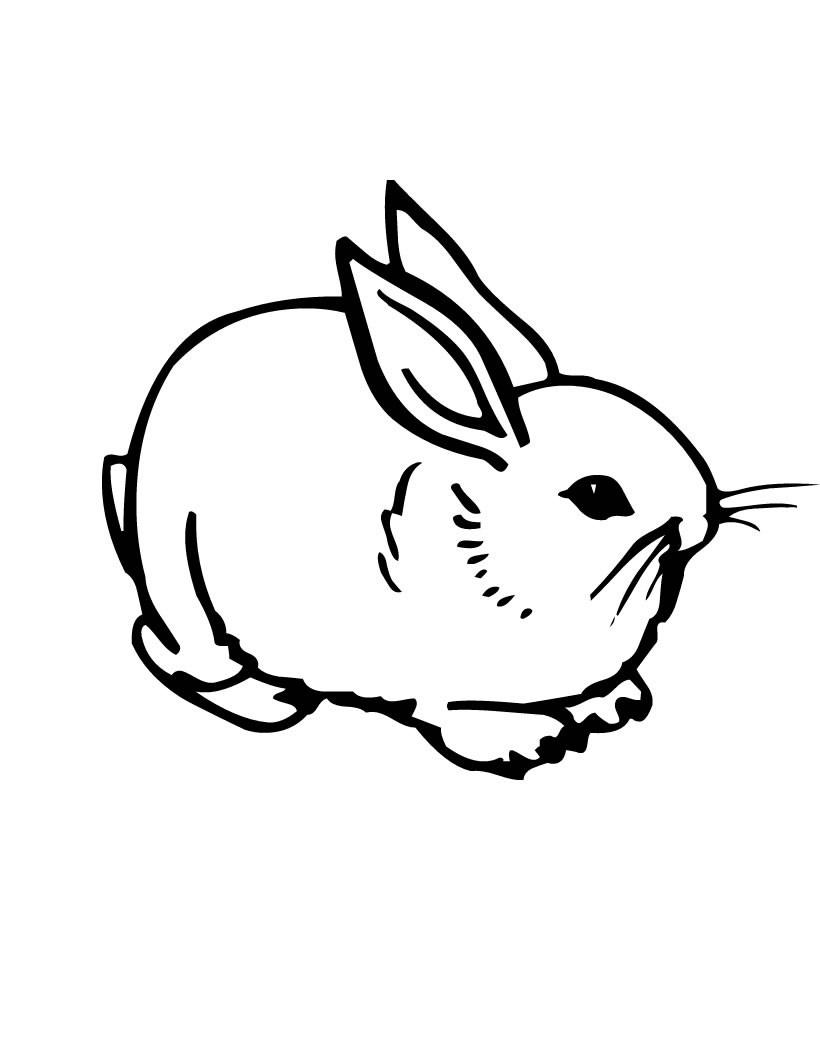 Free printable rabbit coloring pages for kids