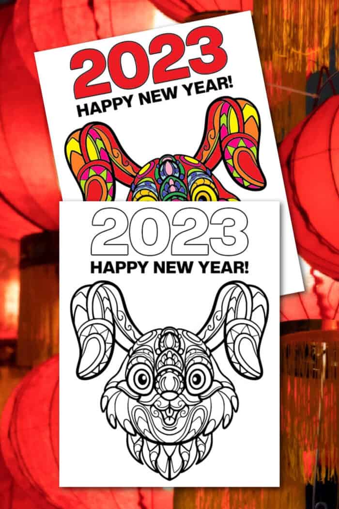 Year of the rabbit coloring pages