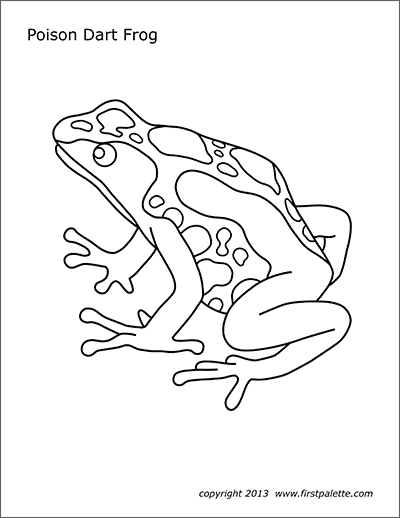 Posion dart frog free printable templates coloring pages