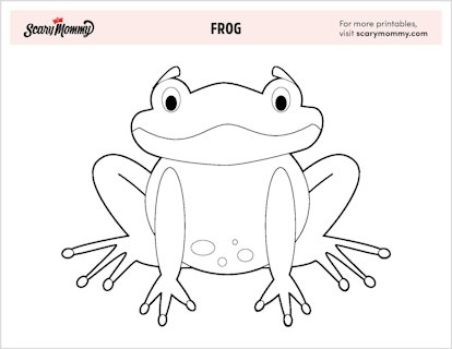 Frog coloring pages that are toad