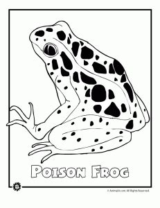 Gold poison dart frog louring pages