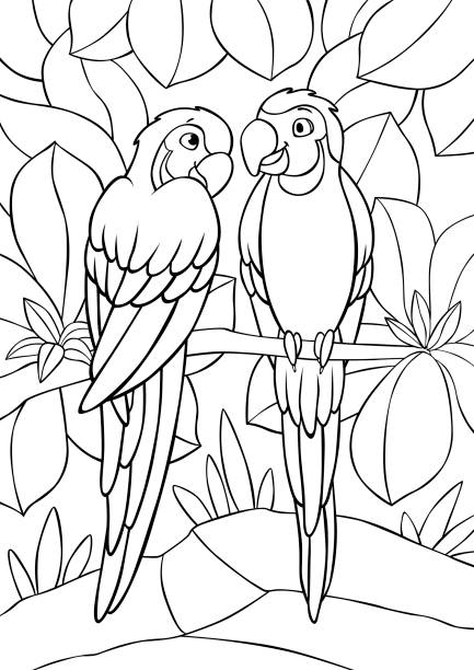 Coloring page two cute yellow macaw sits and smiles they are in love stock illustration