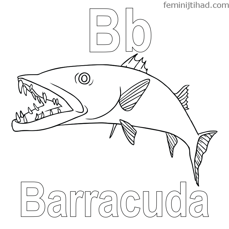 Printable barracuda coloring pages pdf