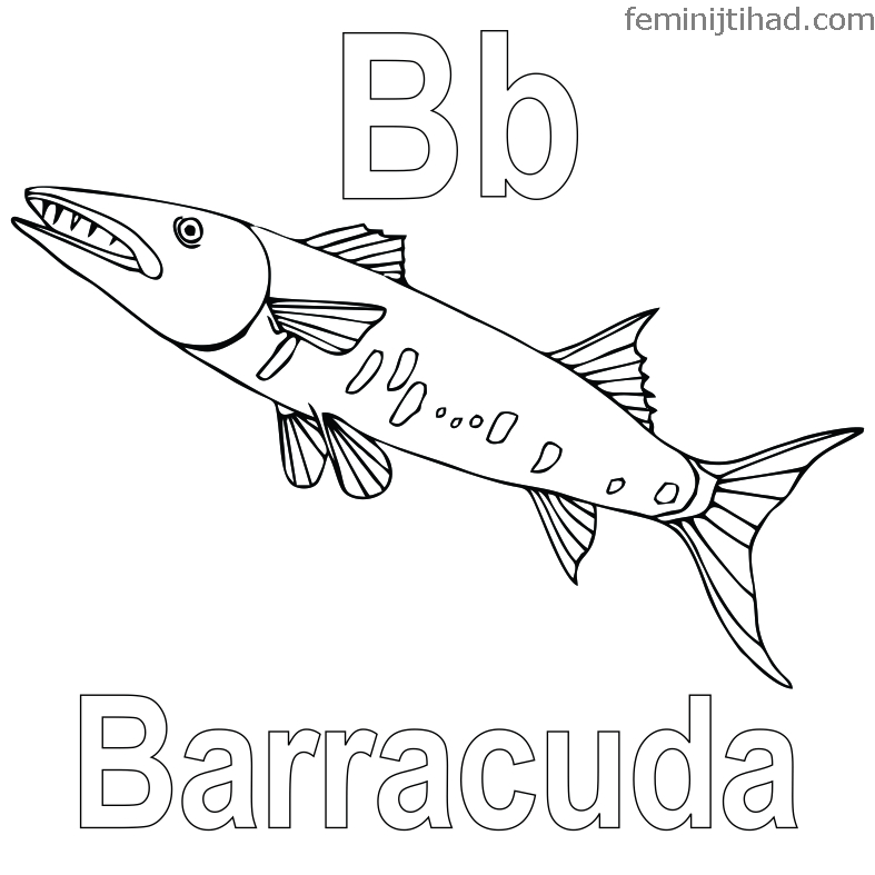 Printable barracuda coloring pages pdf