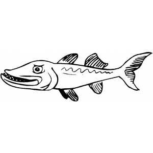 Angry barracuda coloring page animal coloring pages coloring pages tattoo stencil outline