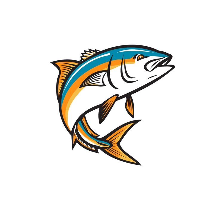 California yellowtail amberjack forktail mossback yellowtail tuna vector art horse painting drawings